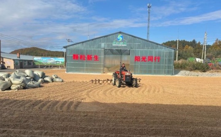 黑龍江鶴立林業局：生物質顆粒產業點燃綠色發展新引擎